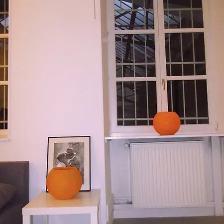 Charmant Loft Apartament