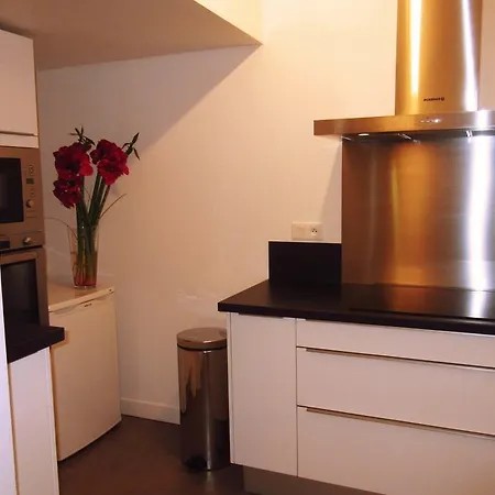 Apartament Charmant Loft Strasburg